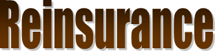 Description: Reinsurance