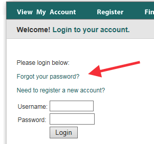 Forgot Password Link